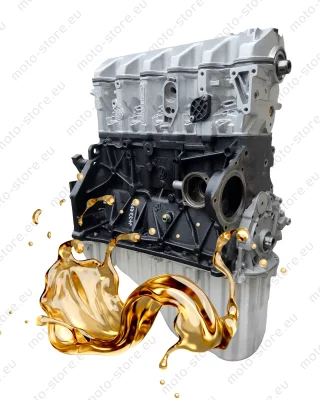 Regenerowany silnik VW Crafter 2.5 TDi BJK